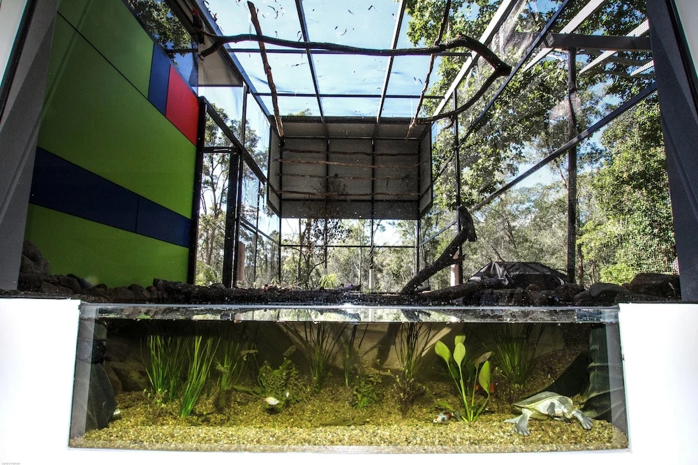 The Feathered Nest - Wildlife Retreat - Général