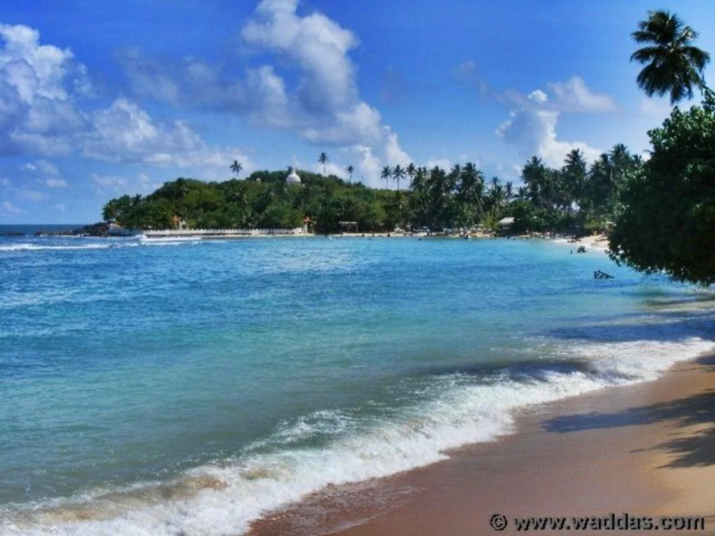 The Fort Printers - фото 13