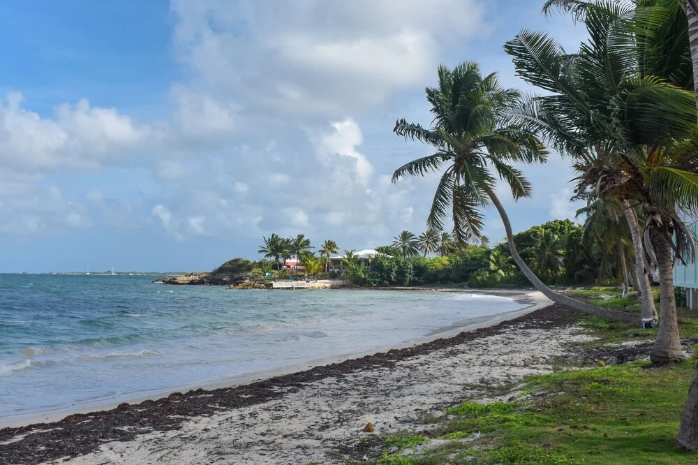 Beach & Waterfront