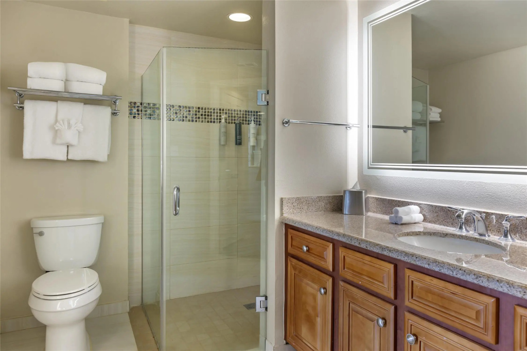 Hilton Grand Vacations Club SeaWorld® Orlando - Général