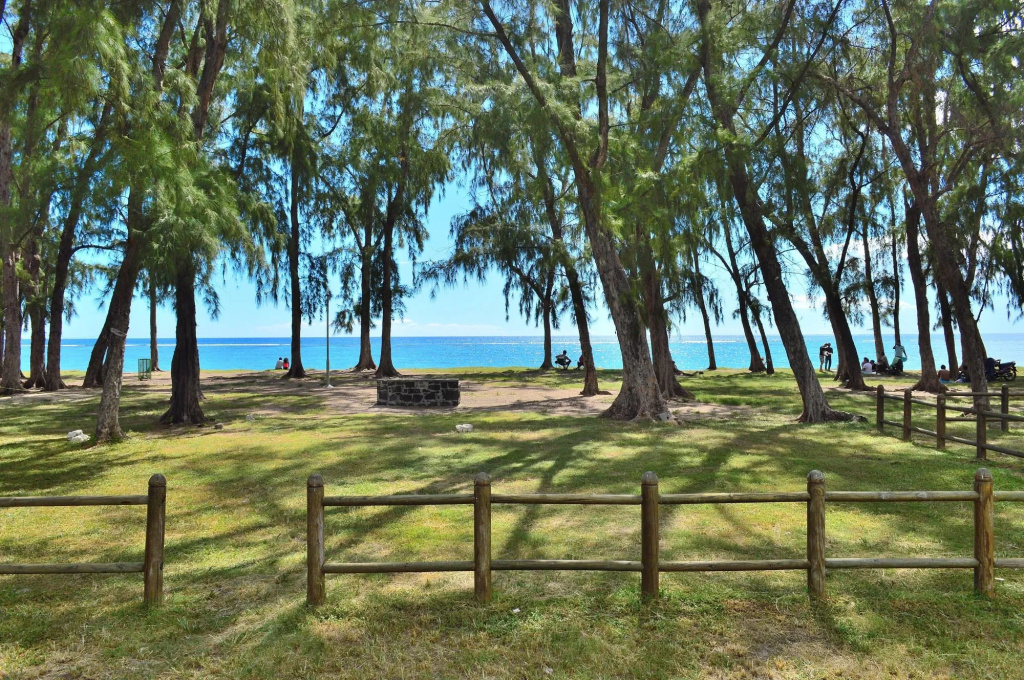 Paradya Beach Apartments - 3