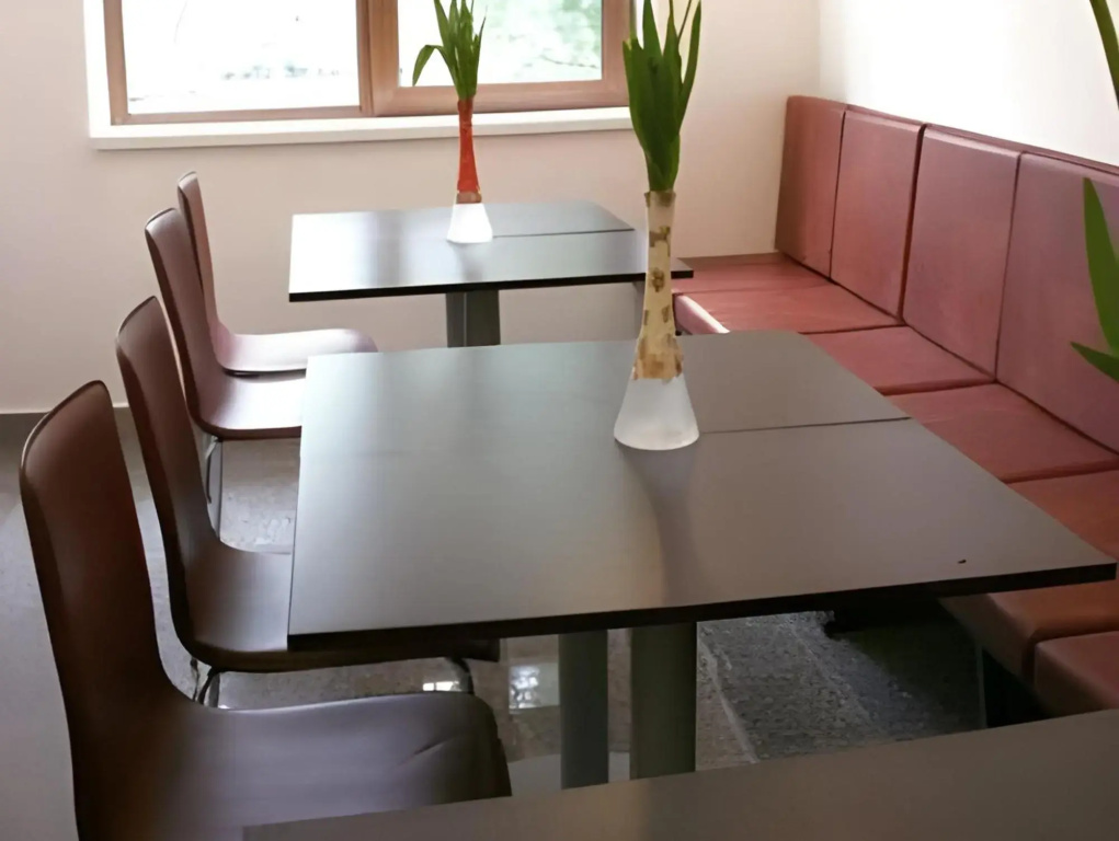 Hotel Timisoara Sannicolau Mare - Général