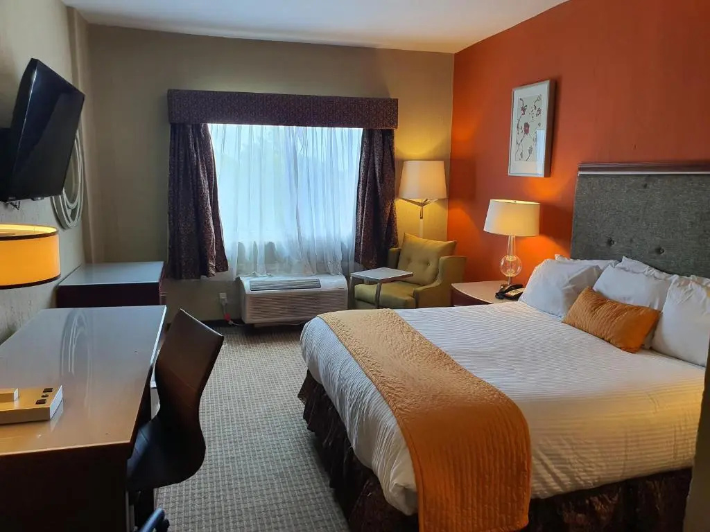 Hotel San Francisco Leon - Chambres
