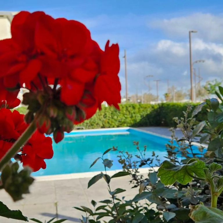 Hotel photo 49