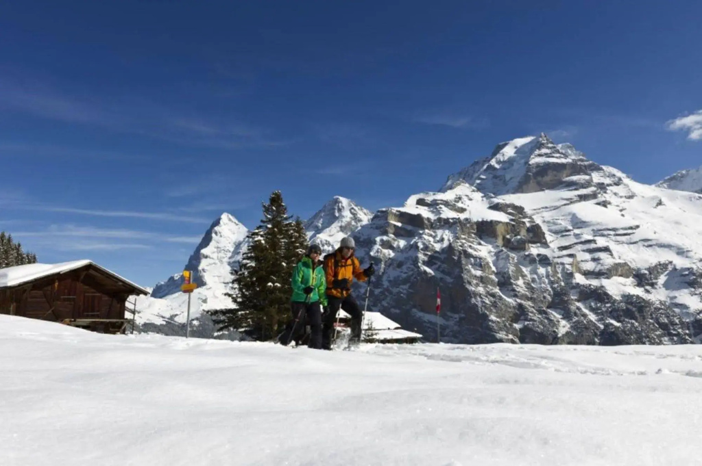 Hotel Alpenruh - Général