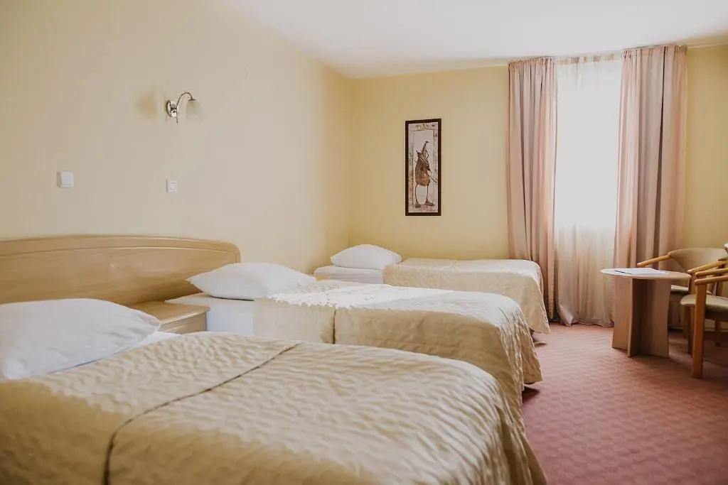 Hotel Silver - Chambres