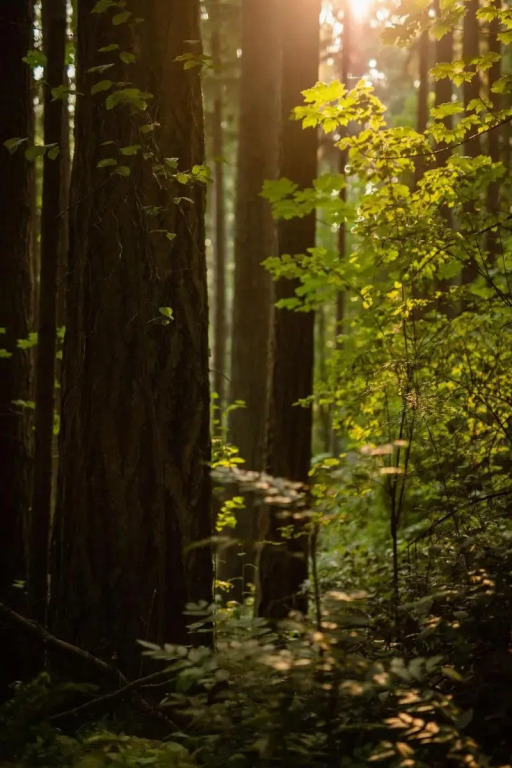 The Lodge at St Edward Park - фото 23