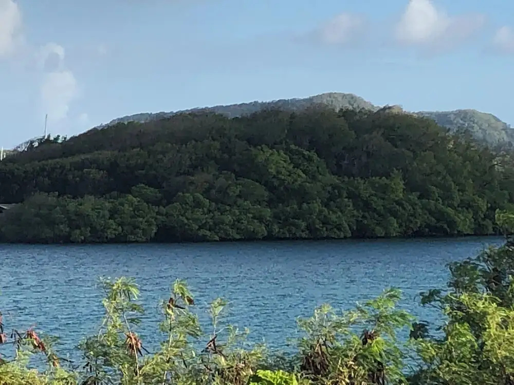 Magnifique vue de la Baie du Marin, proche de la route des plages du sud de la Martinique