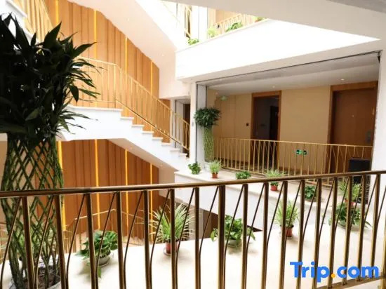 Balcony & Terrace
