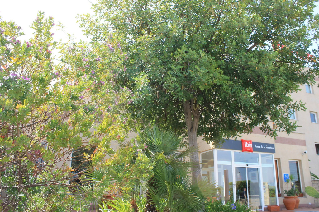 ibis Jerez de La Frontera