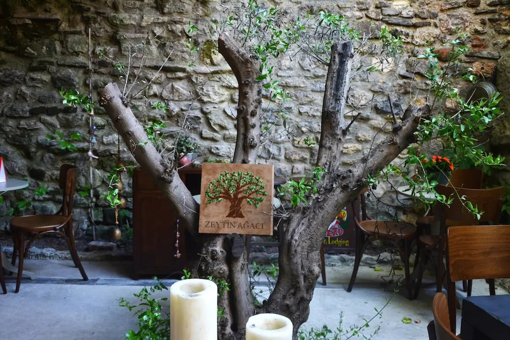Zeytin Ağacı Hotel