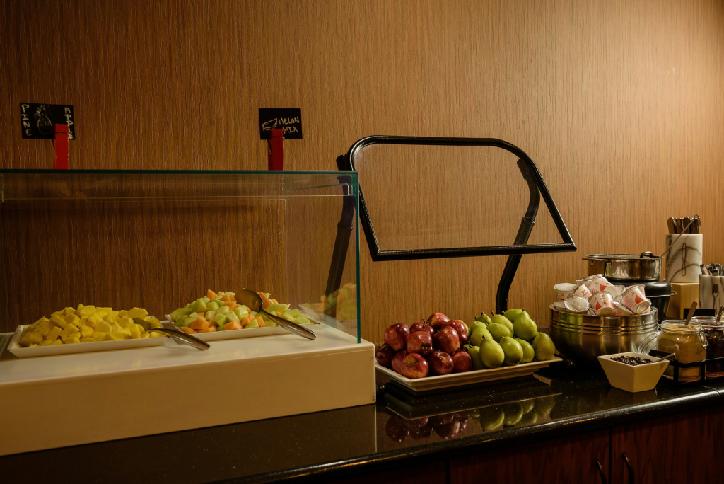 Embassy Suites by Hilton Minneapolis North - Général