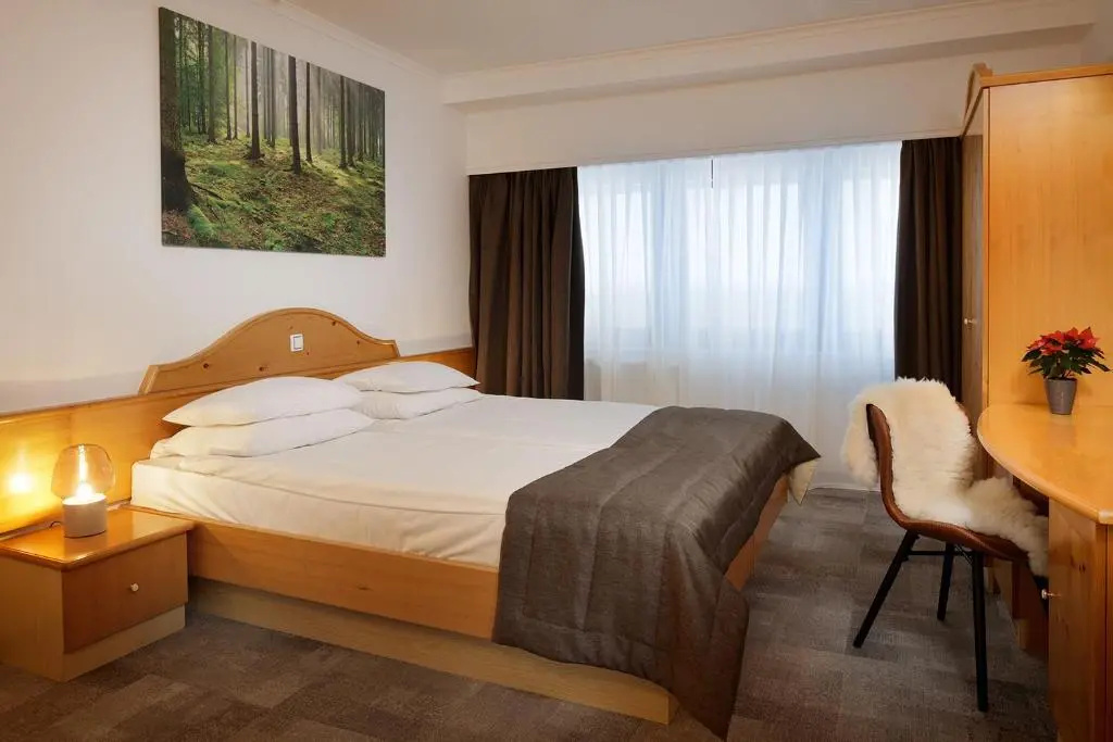 Standard Double room (full double bed)