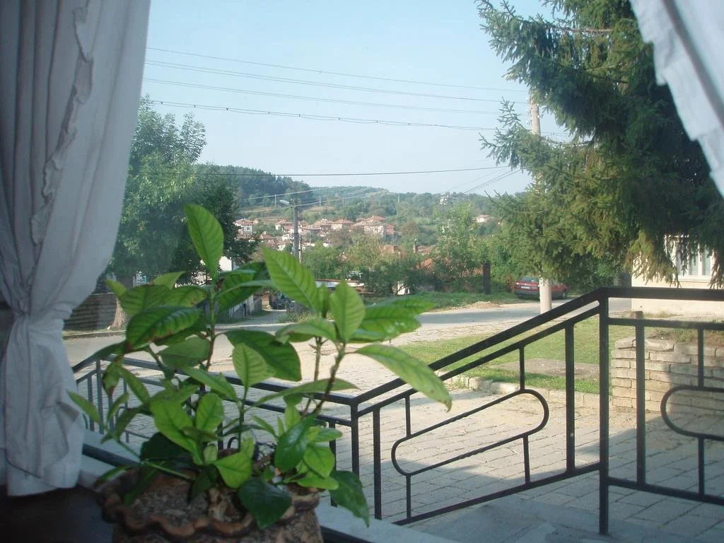 Balcony & Terrace