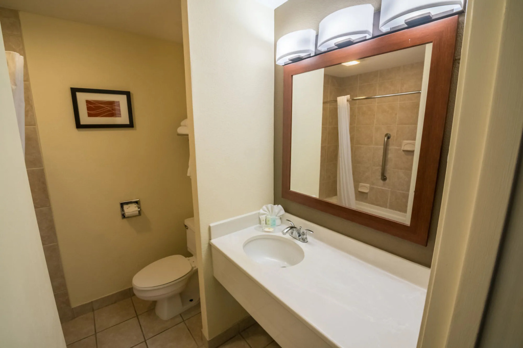 Comfort Inn & Suites - Général