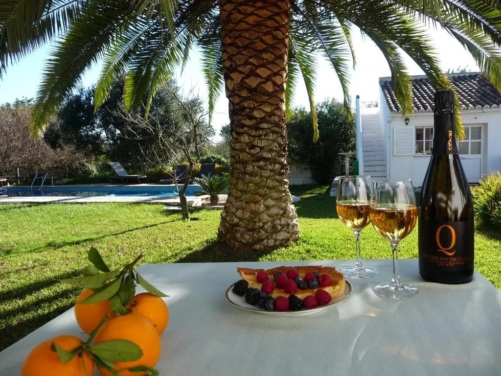 Standard Double room with pool view (twin beds)