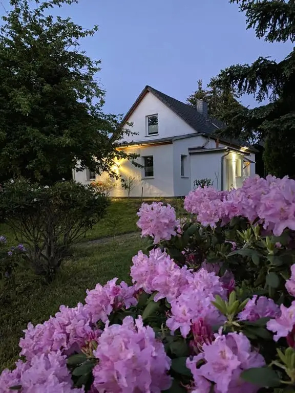 Gemutliches Ferienhaus