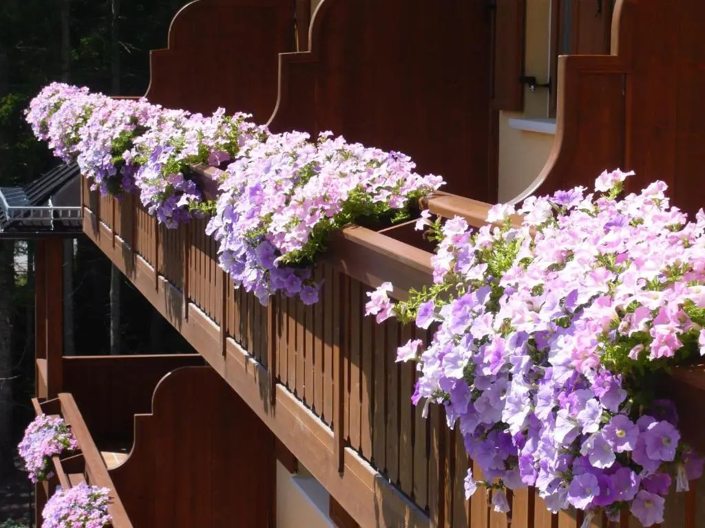 Balcony & Terrace