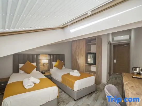 Standard Attic room