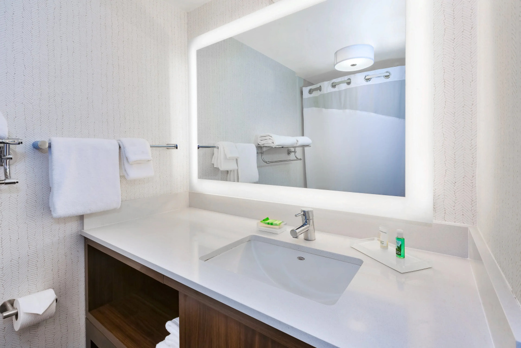 Holiday Inn Grand Rapids Downtown by IHG - Général