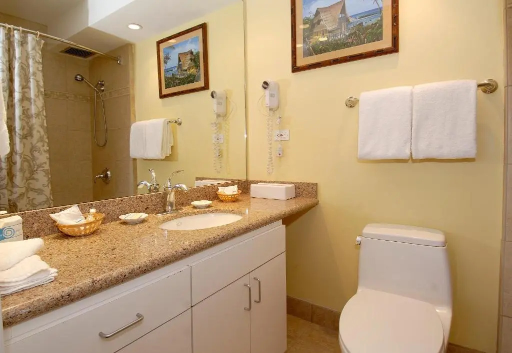 2 Bedrooms Standard Apartment with balcony and with ocean view