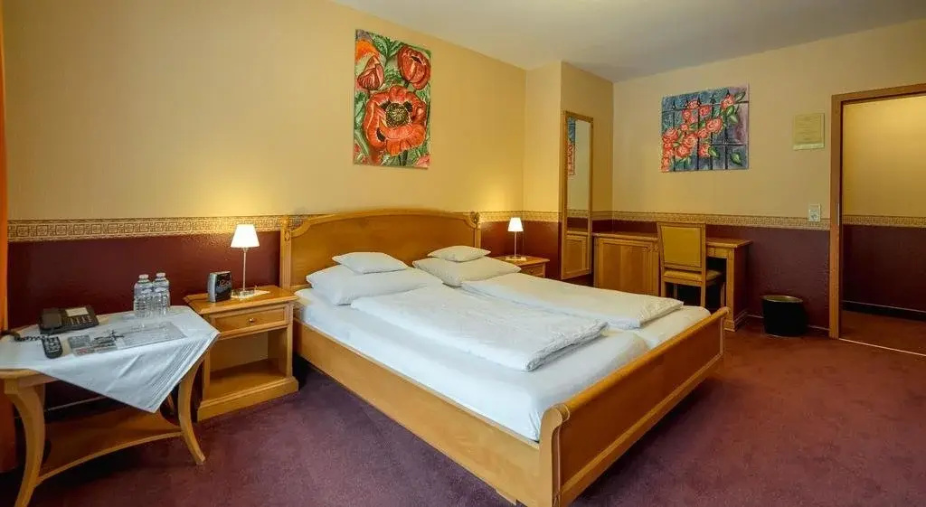 Hotel Bisenius - Général