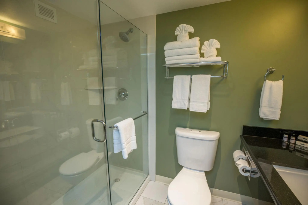 Deluxe Double room (full double bed)