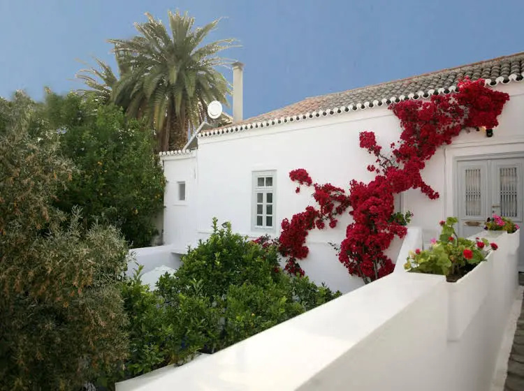 Balcony & Terrace