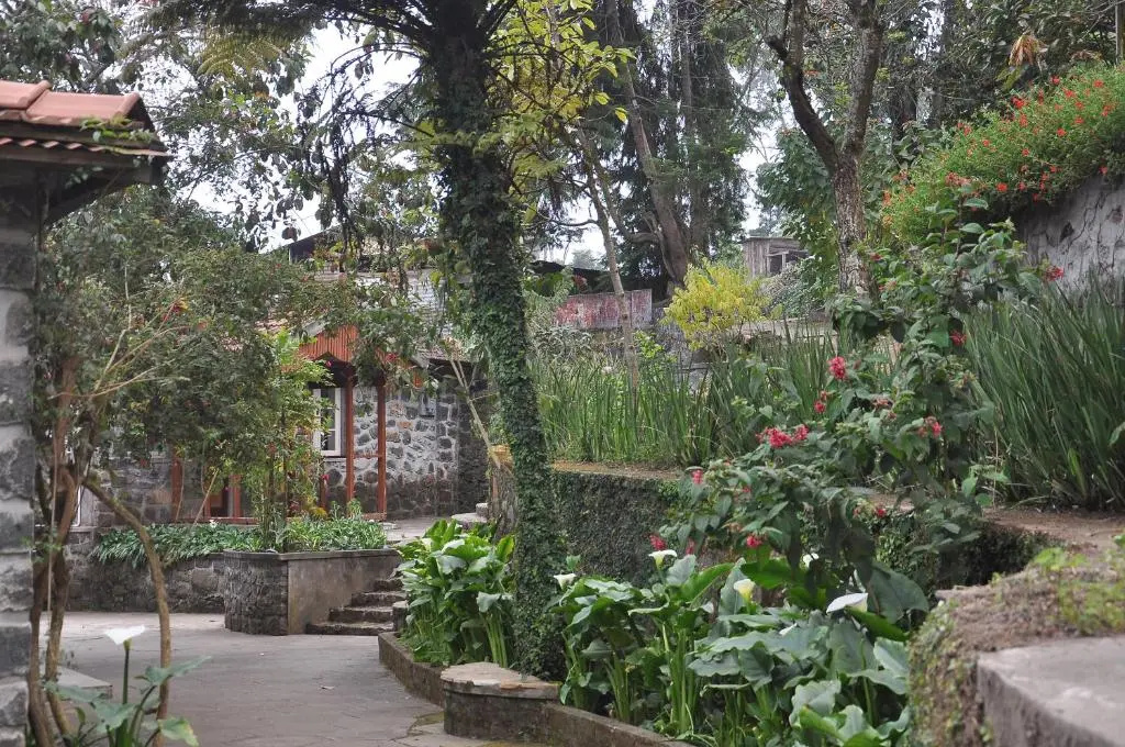 Lilly's Valley Resort - Chambres