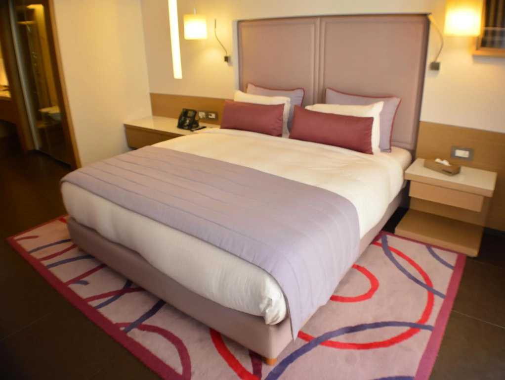 Business Double Suite (full double bed)