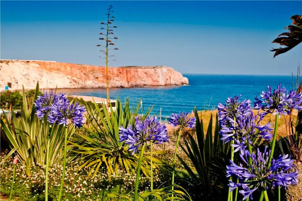 Mareta Beach Boutique Bed & Breakfast - Chambres