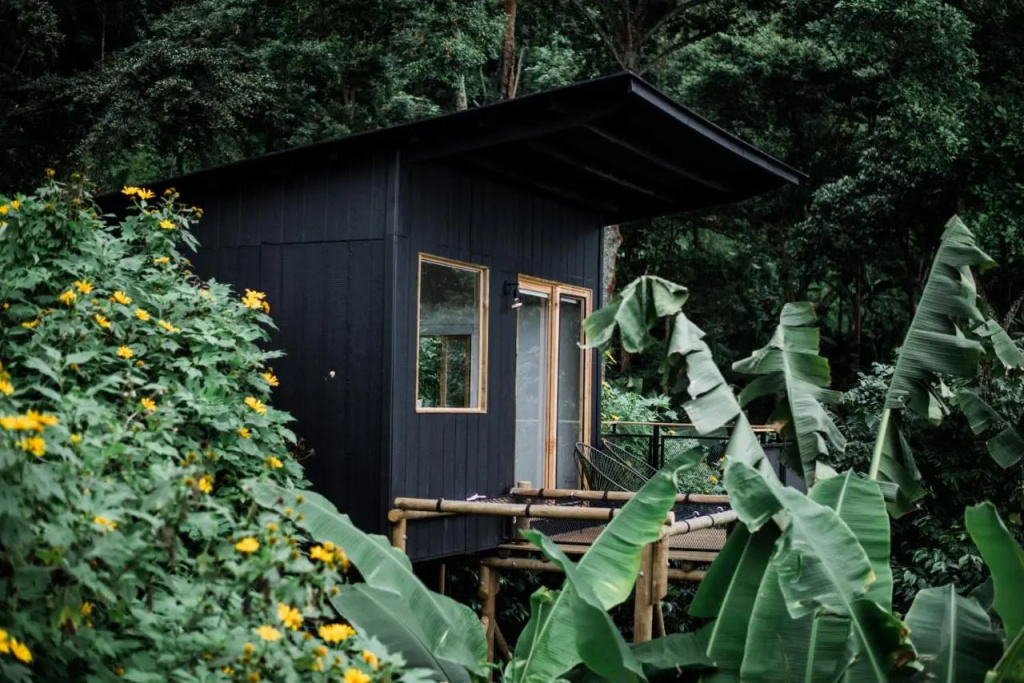 Hotel La Palma y El Tucan - Coffee & Nature