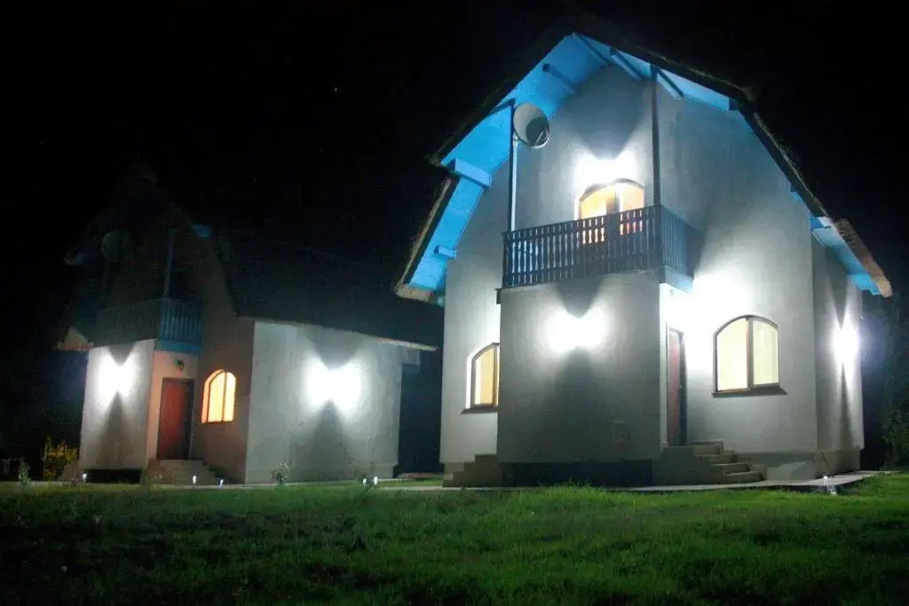 Vulturul Pescar