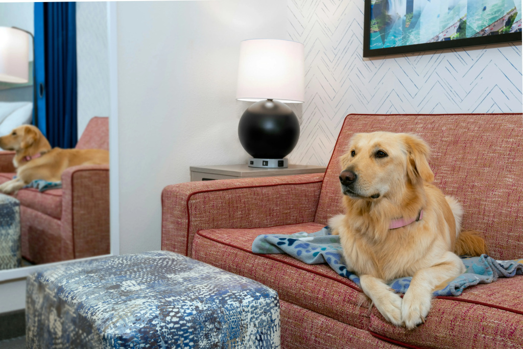 Home2 Suites by Hilton Buffalo Airport / Galleria Mall - Général