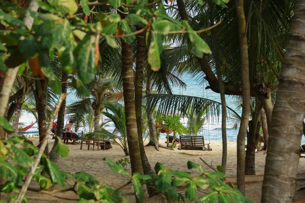 Seagulls Beach & Garden Cabanas - Chambres