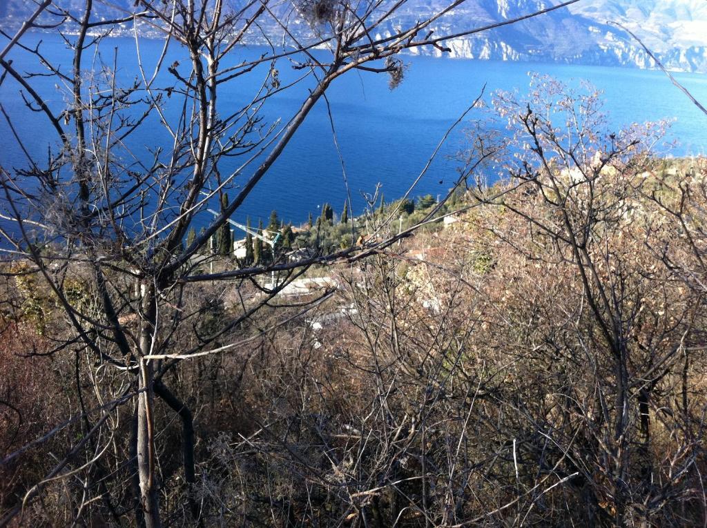 Image 12