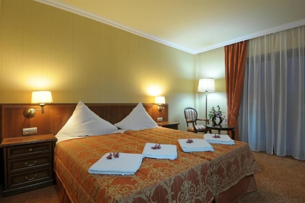 Hotel Delfin Spa&wellness - Général