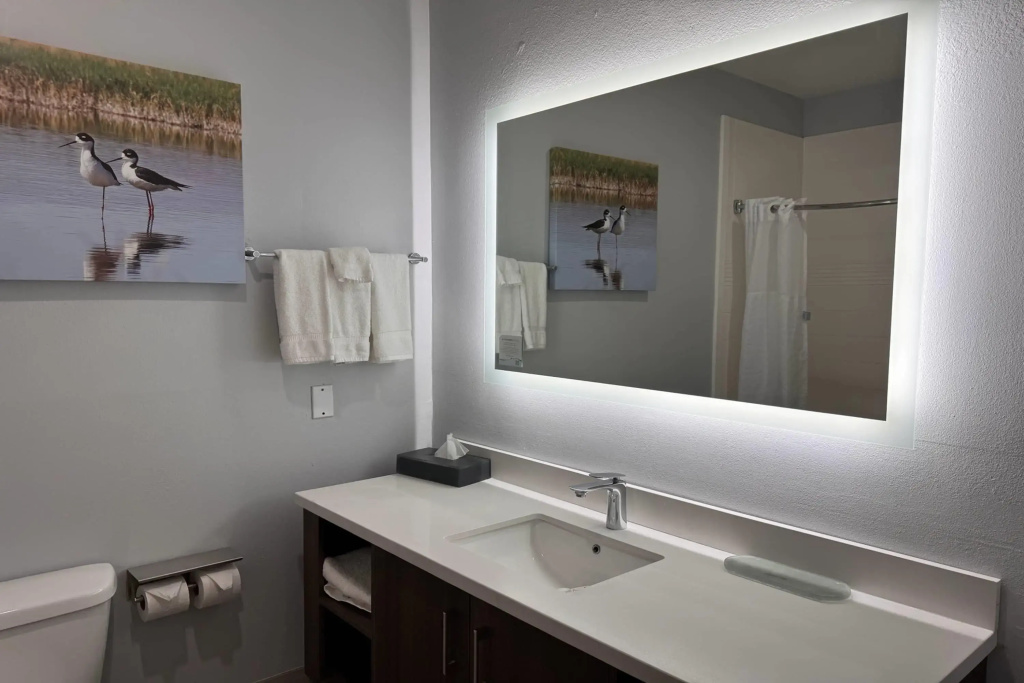 La Quinta Inn & Suites by Wyndham Alamo - McAllen East - Général