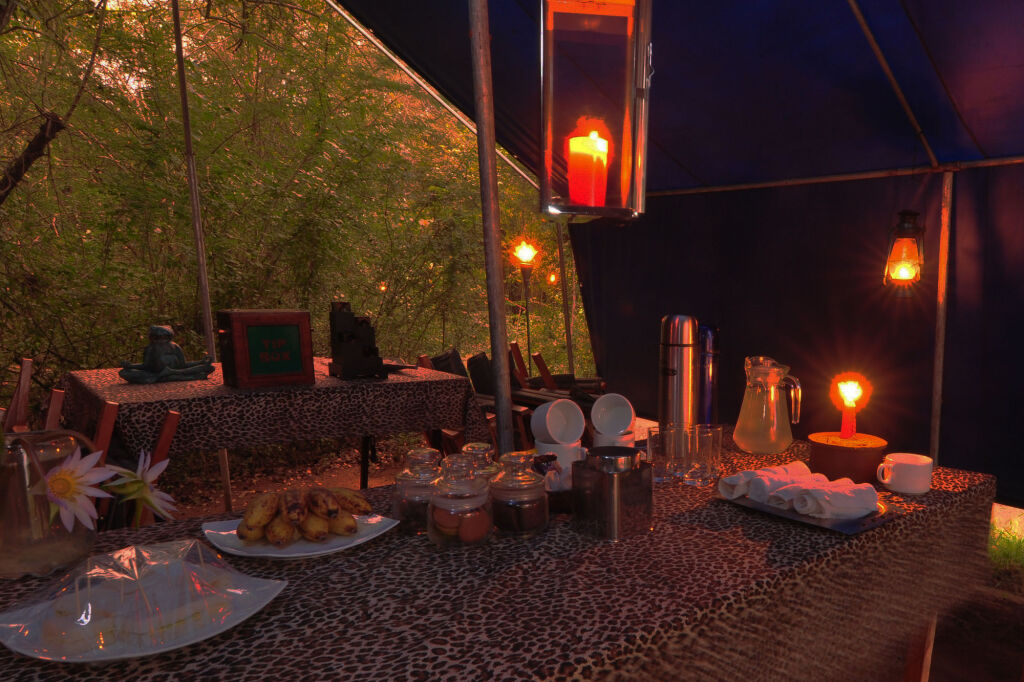 Mahoora Tented Safari Camp - Wilpattu