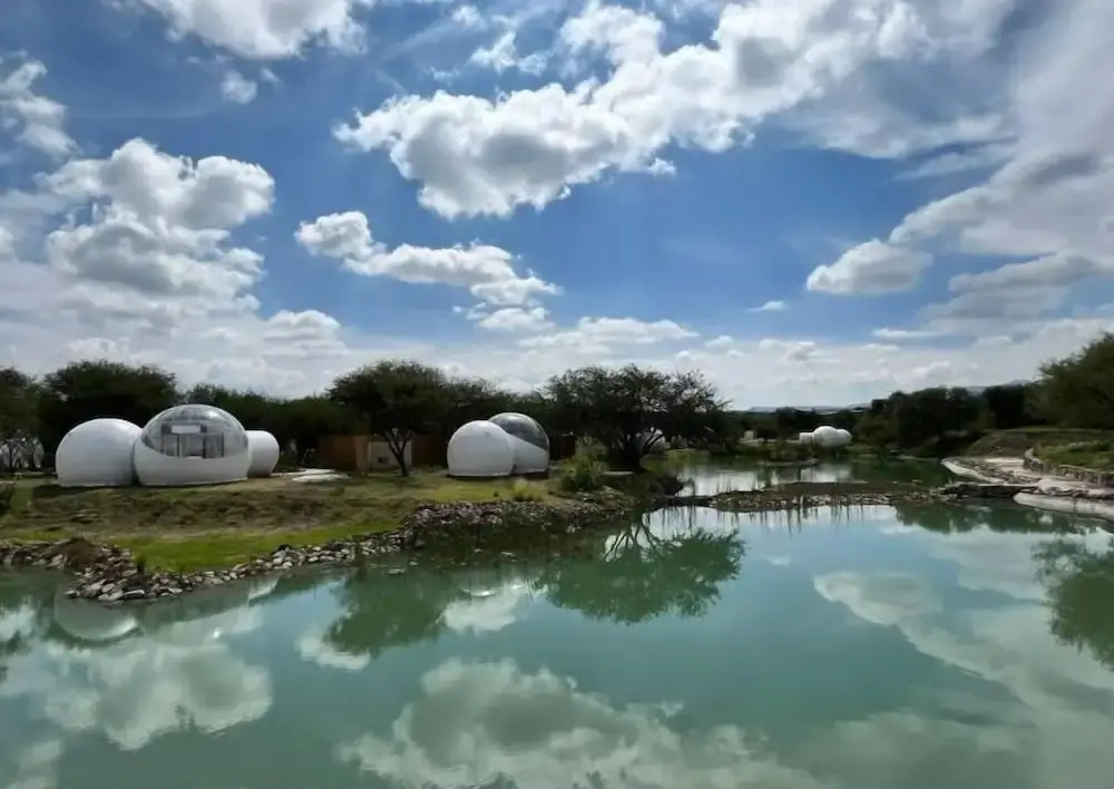 Campera Hotel Burbuja by null