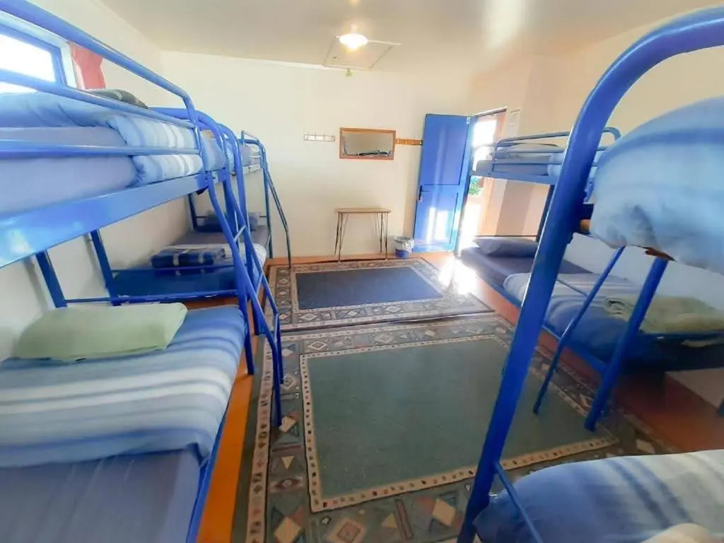 Bed in Dorm