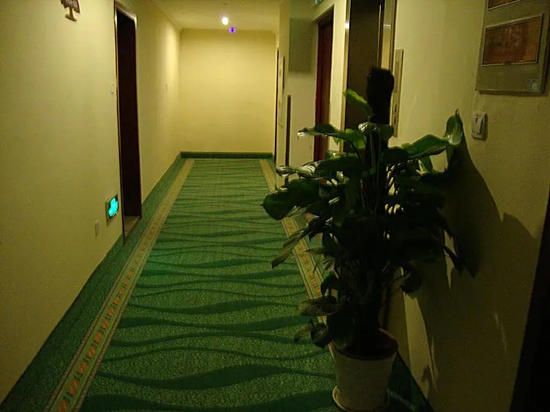 GreenTree Inn Suzhou West Wuzhong Road Express Hotel - Général