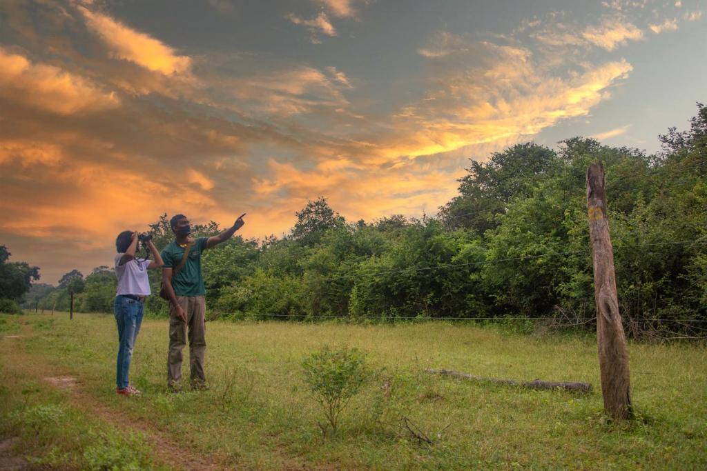 Mahoora Tented Safari Camp - Yala