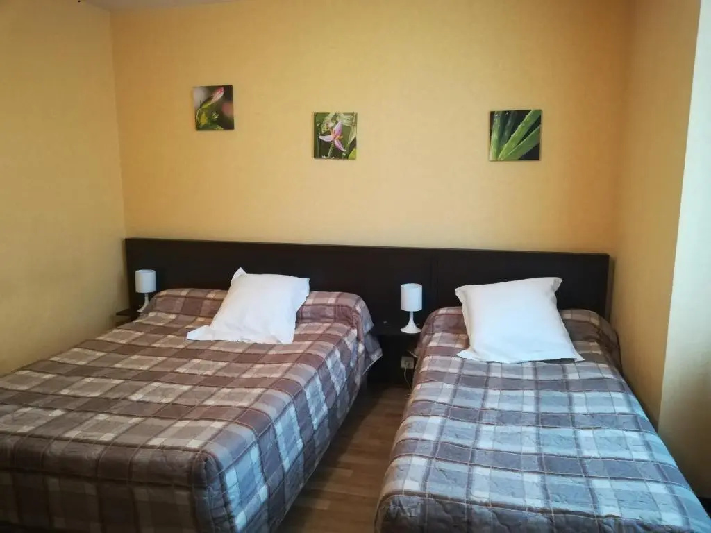 Standard Double room (twin beds)