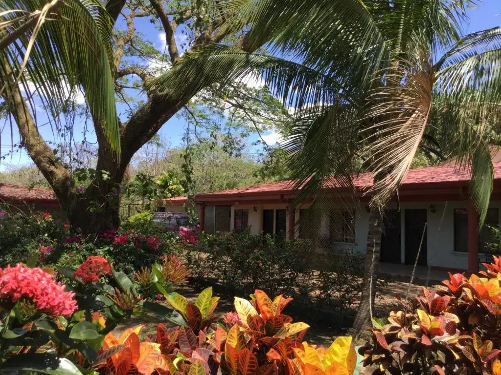 Villas el Cenizaro - фото 8