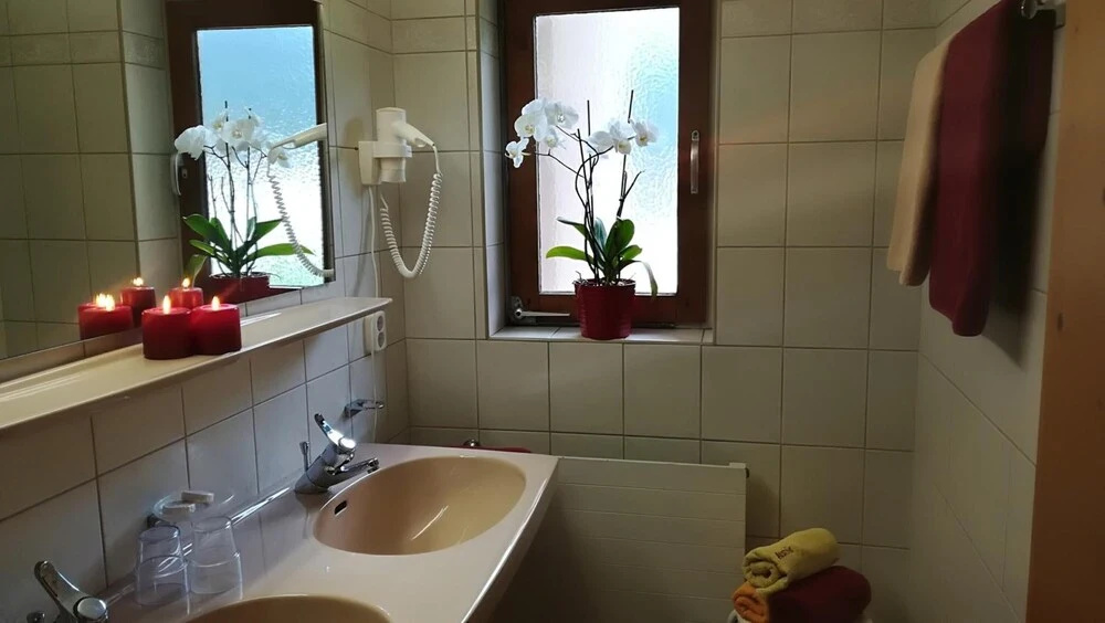Apart Hotel Garni Austria - Général