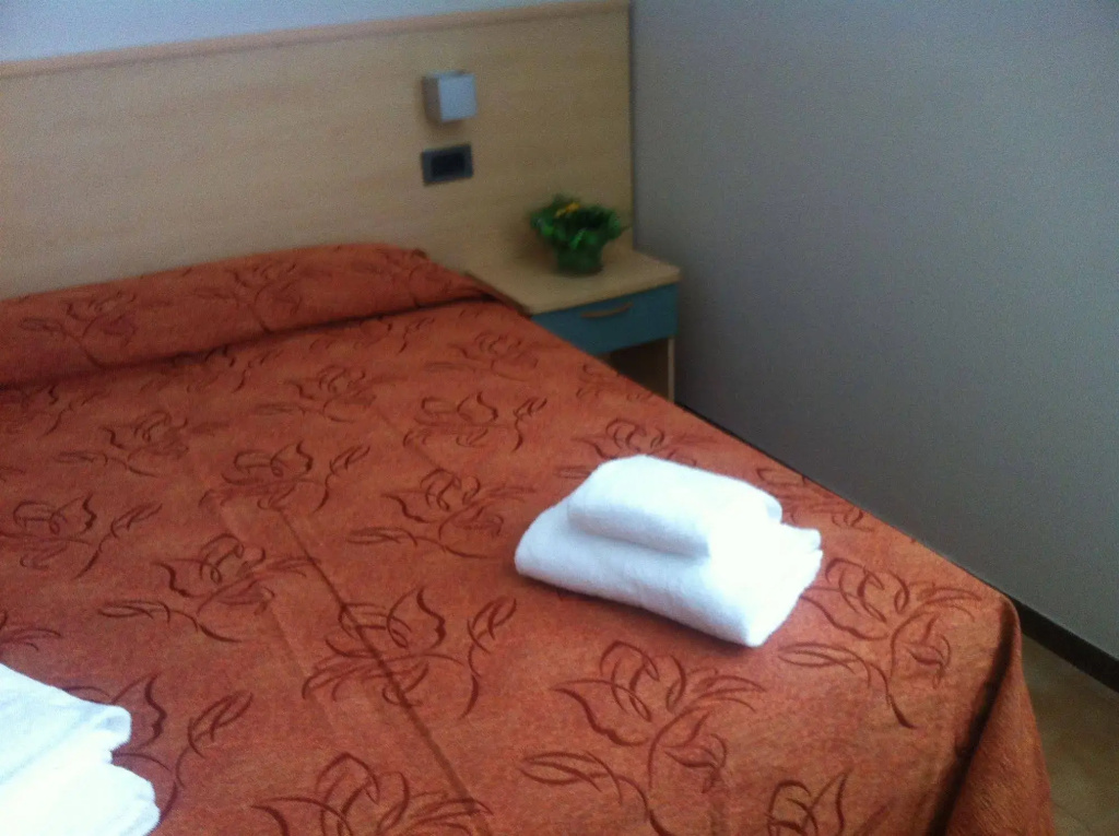Hotel San Benedetto - Général