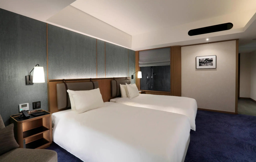 Superior Double room (twin beds)