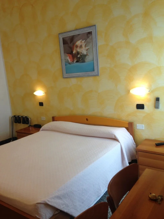 Standard Double room with balcony (full double bed)