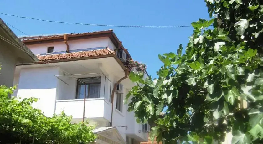 Guesthouse Olimp